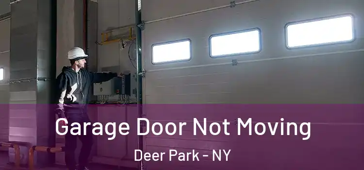  Garage Door Not Moving Deer Park - NY