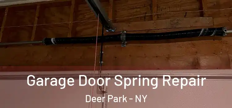  Garage Door Spring Repair Deer Park - NY