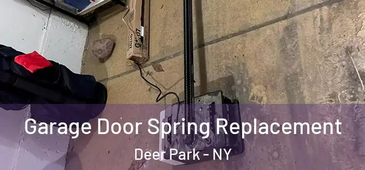  Garage Door Spring Replacement Deer Park - NY