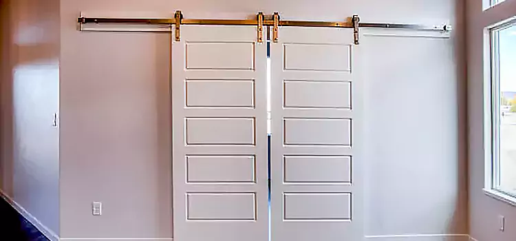 Glass Barn Door with Installation Hardware Kit Deer Park