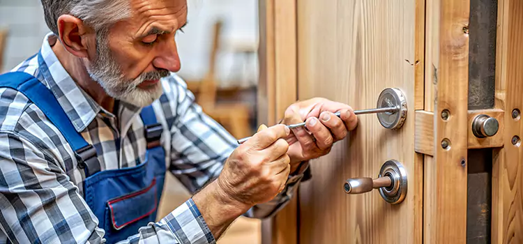 Mortise Replacement Lock Deer Park