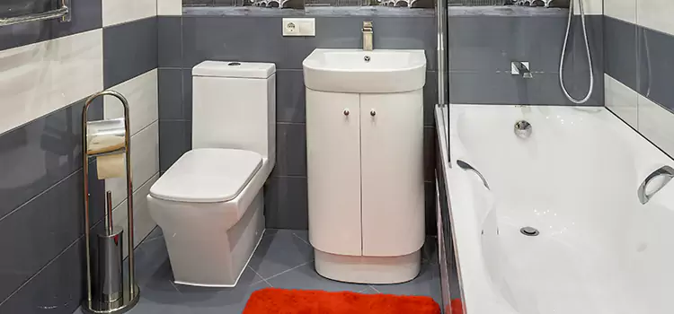 Hansgrohe Shaving Mirror Deer Park