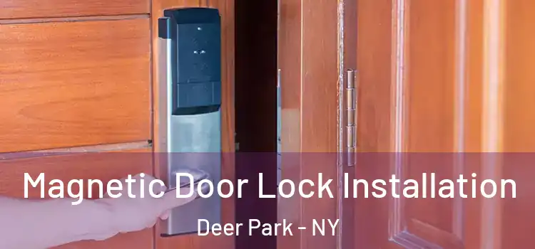  Magnetic Door Lock Installation Deer Park - NY