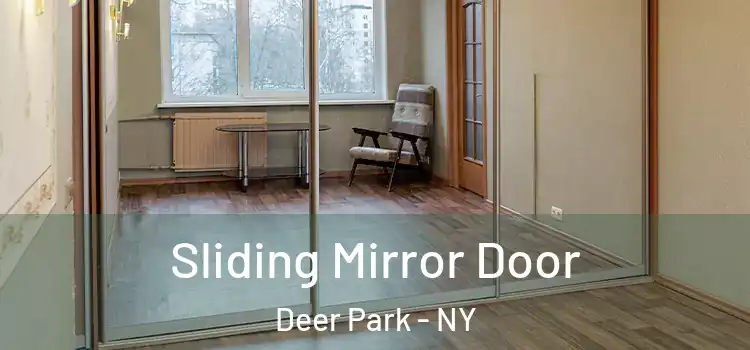  Sliding Mirror Door Deer Park - NY